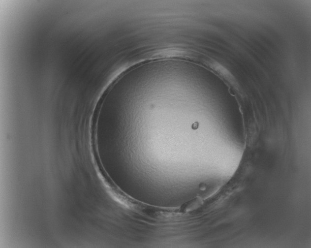 X0000062831039200601171414