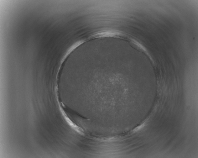 X0000062831042200601171414