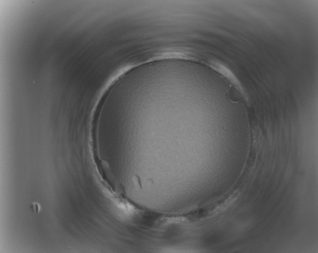 X0000062831043200601171414