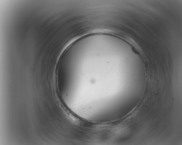 X0000062831044200601171414