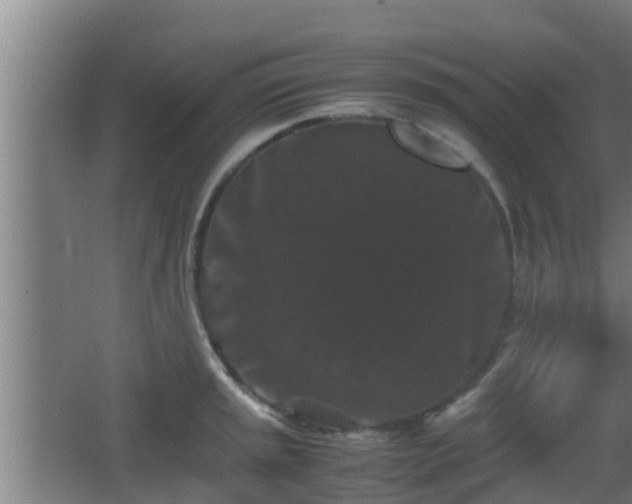 X0000062831045200601171414