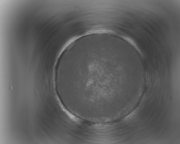 X0000062831046200601171414