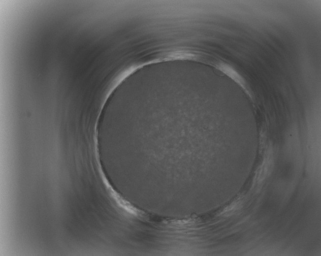 X0000062831047200601171414