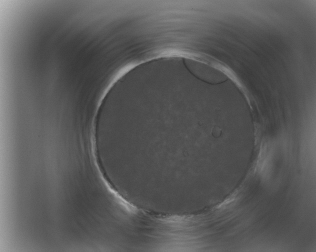 X0000062831048200601171414