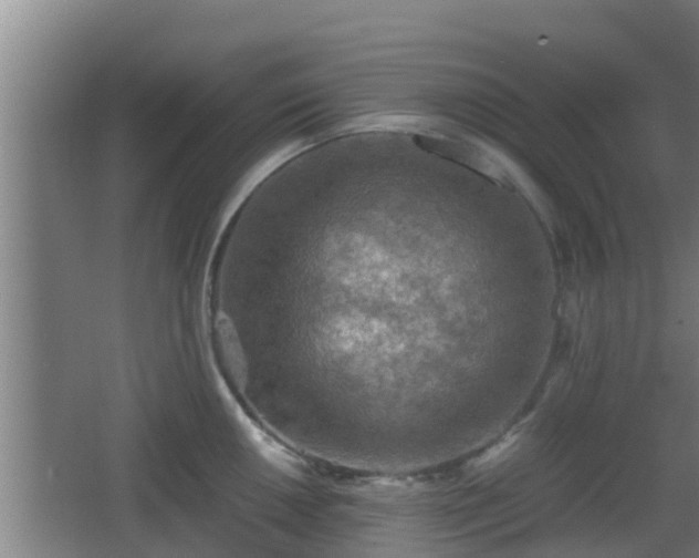 X0000062831050200601171414