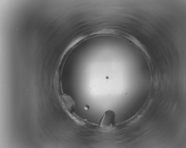 X0000062831053200601171414