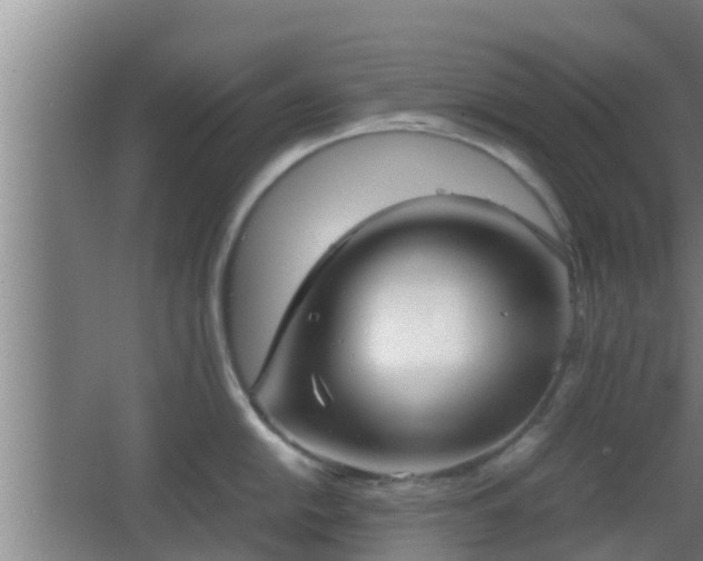 X0000062831054200601171414