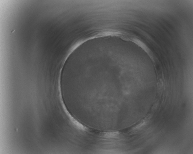 X0000062831055200601171414