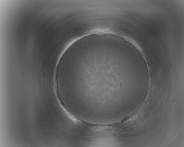 X0000062831056200601171414