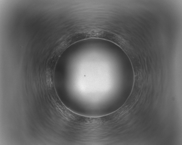 X0000062831058200601171413