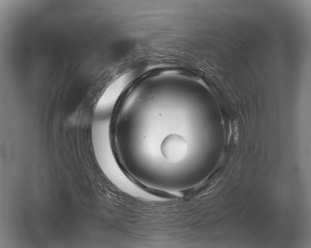 X0000062831059200601171413