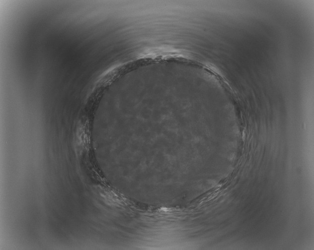 X0000062831063200601171413