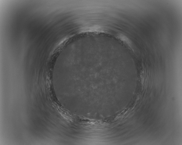 X0000062831064200601171413