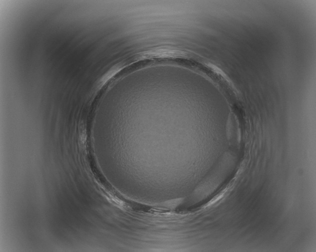 X0000062831065200601171413