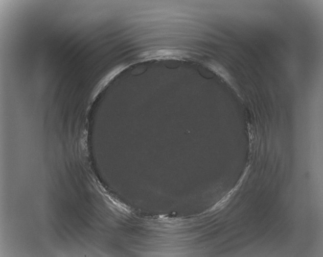 X0000062831066200601171413