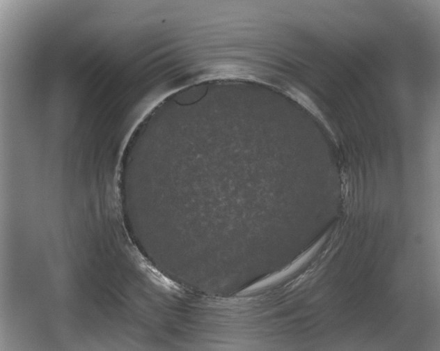 X0000062831068200601171413