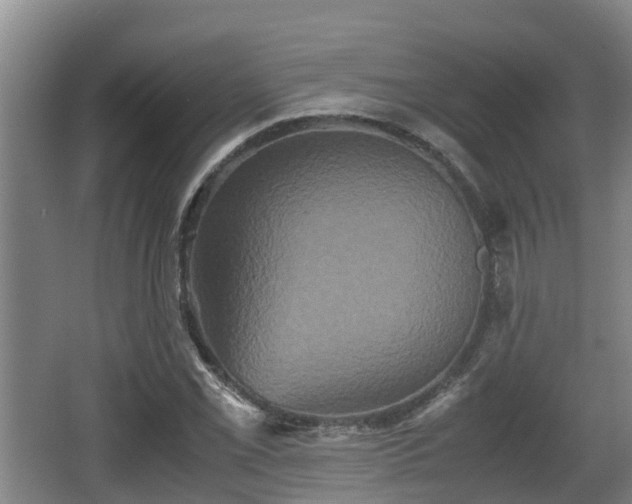 X0000062831069200601171413