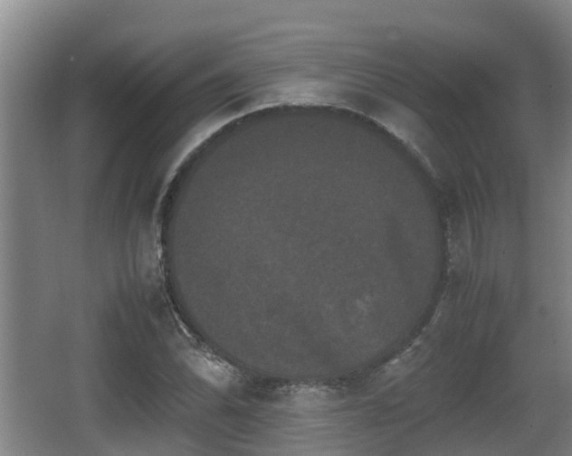 X0000062831070200601171413