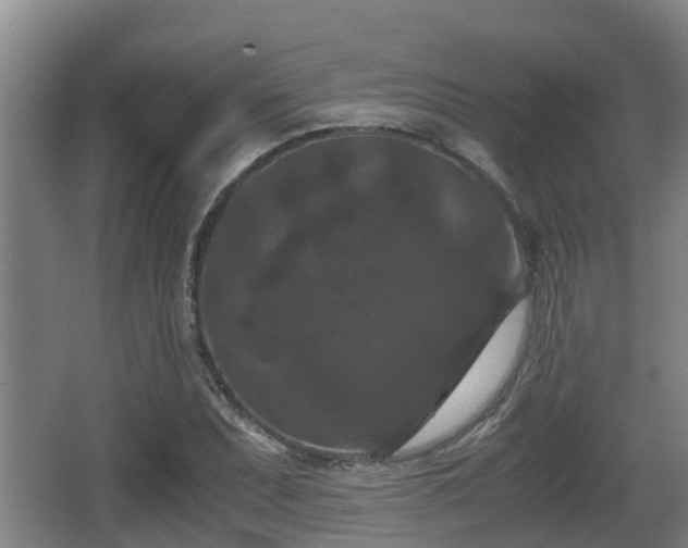 X0000062831071200601171413