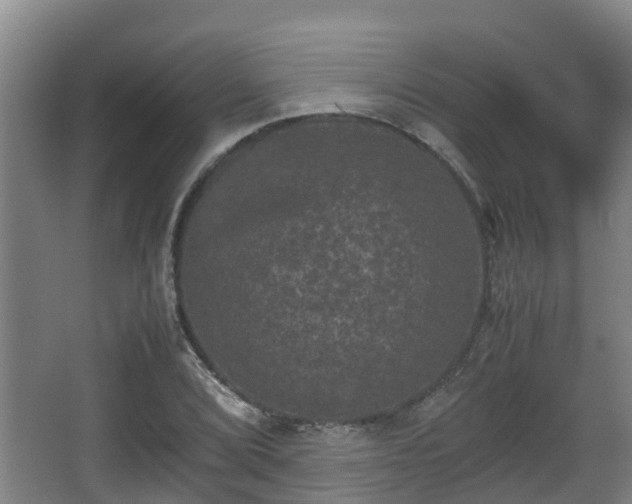 X0000062831072200601171413