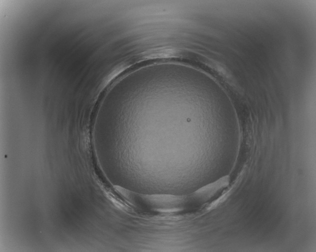 X0000062831073200601171413