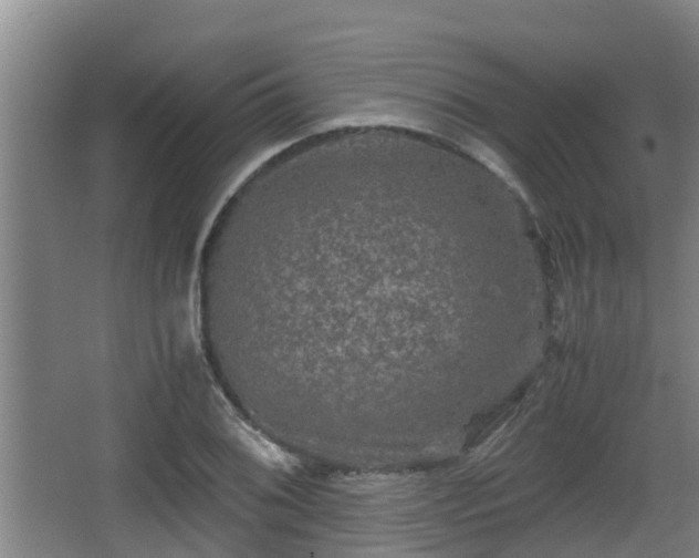 X0000062831076200601171413