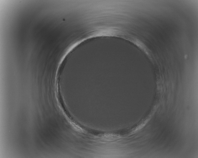 X0000062831077200601171413