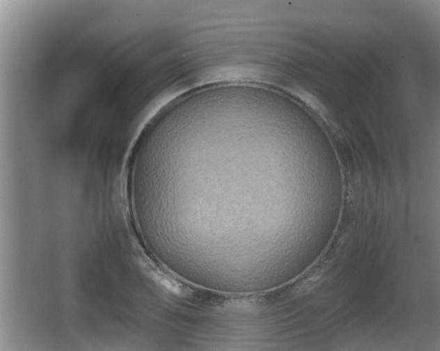 X0000062831078200601171413