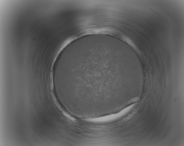 X0000062831079200601171413