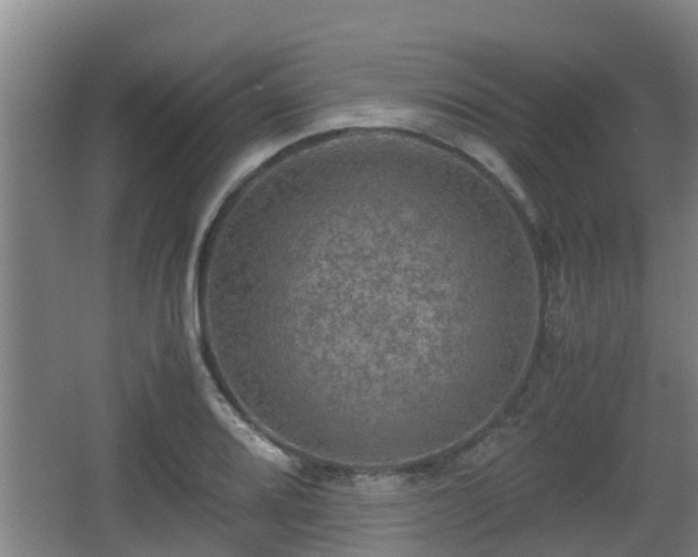 X0000062831080200601171413