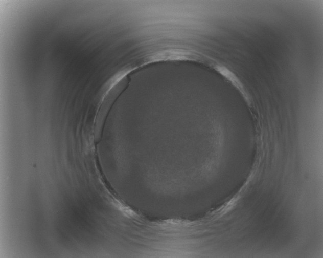 X0000062831081200601171413