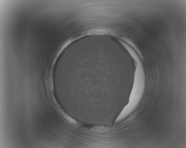 X0000062831083200601171413