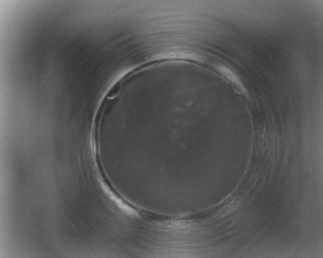 X0000062831084200601171413