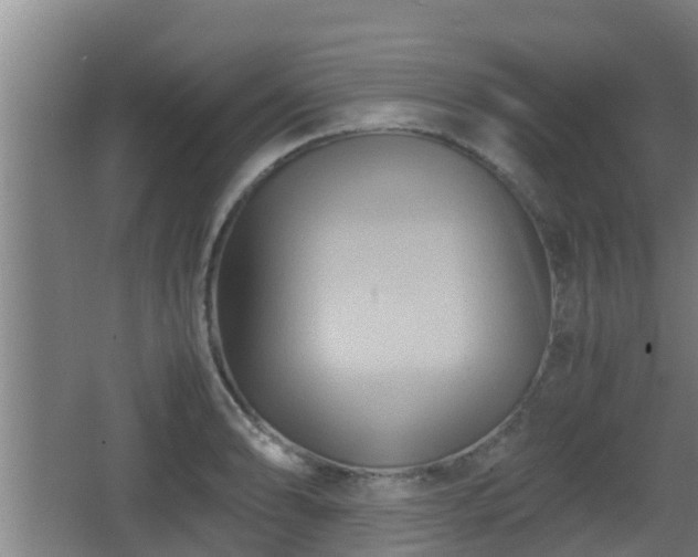 X0000062831086200601171413