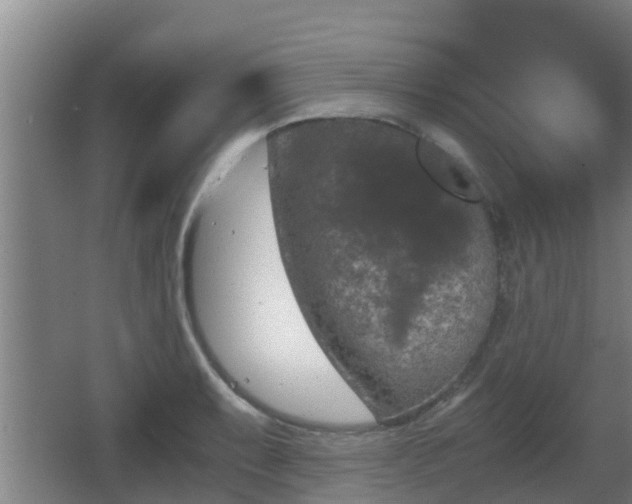 X0000062831087200601171413