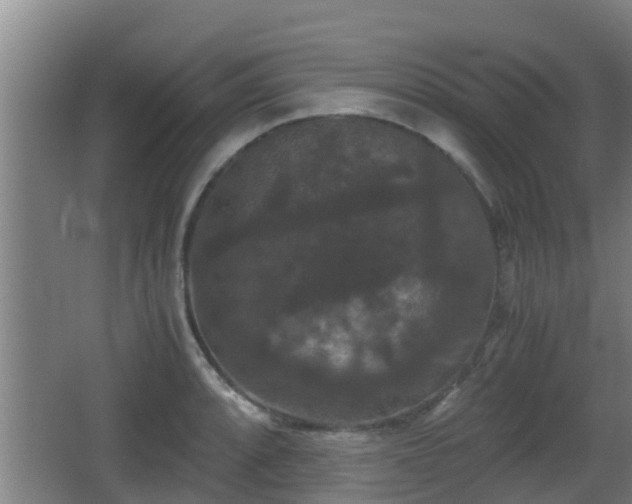 X0000062831088200601171413