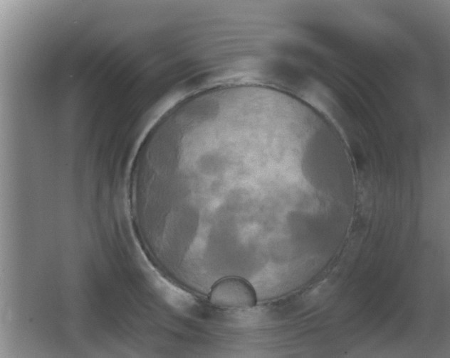 X0000062831090200601171413