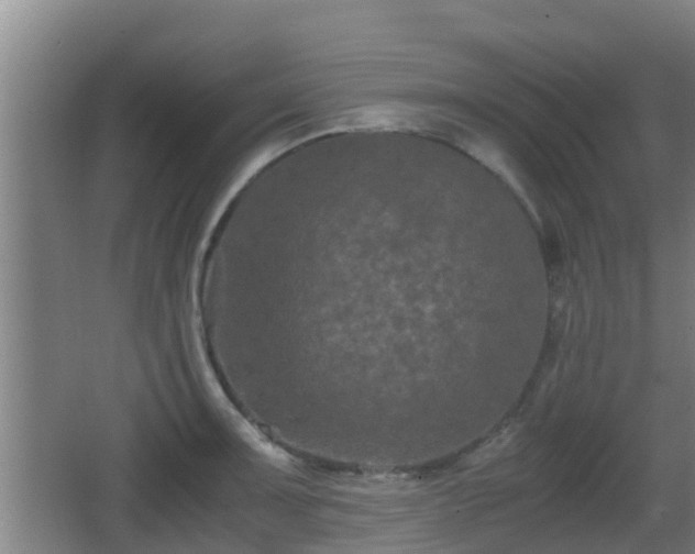 X0000062831091200601171413