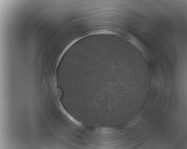 X0000062831092200601171413