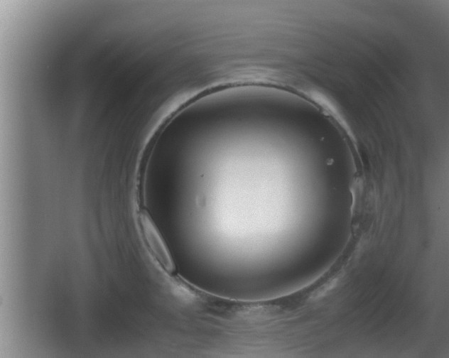 X0000062831093200601171413