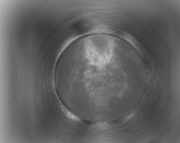 X0000062831094200601171413