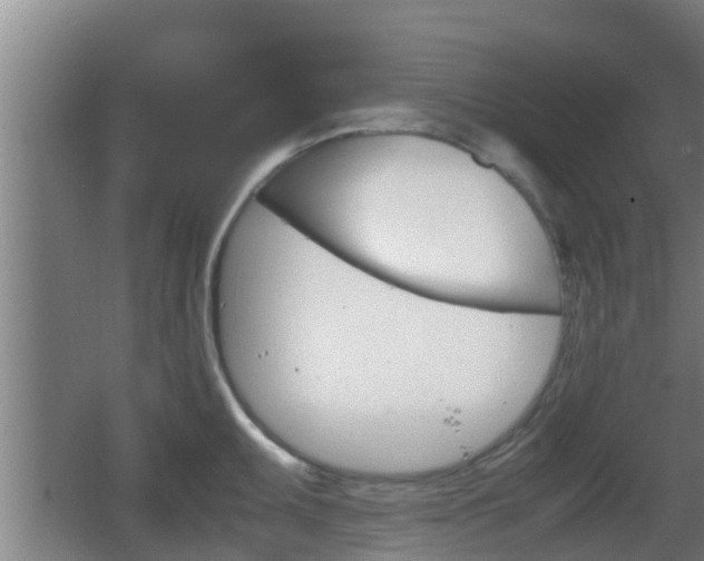 X0000062831095200601171413