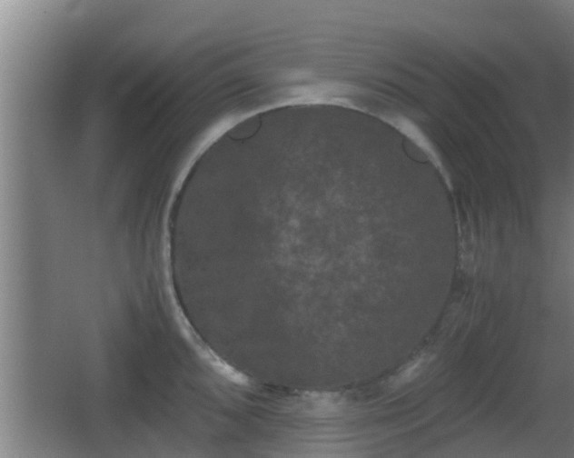 X0000062831096200601171413