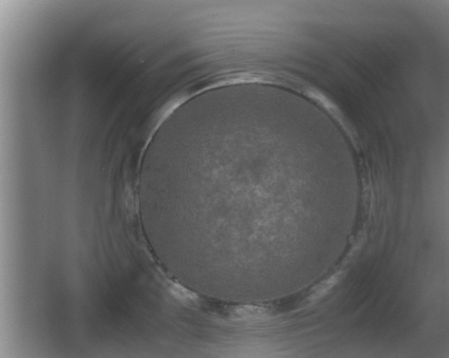 X0000062831097200601171413