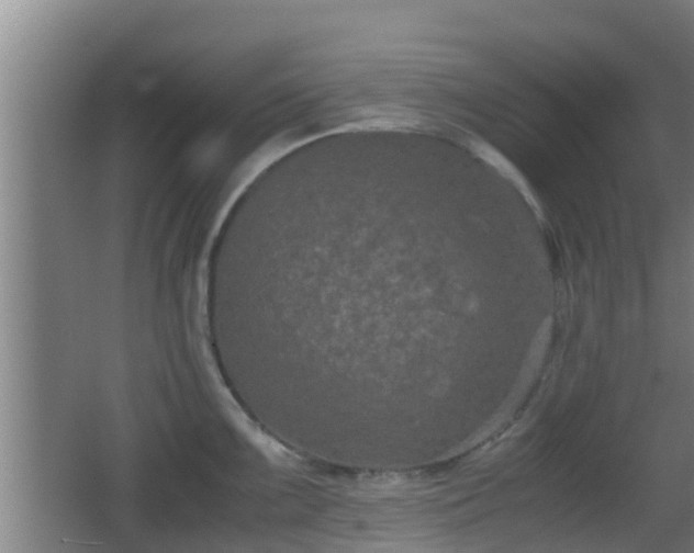 X0000062831099200601171413