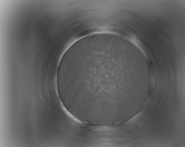 X0000062831100200601171413