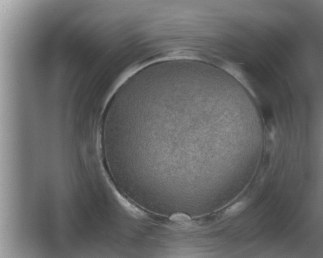 X0000062831101200601171413