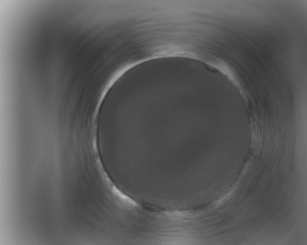 X0000062831102200601171413