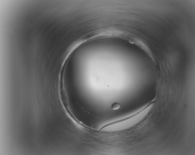 X0000062831103200601171413