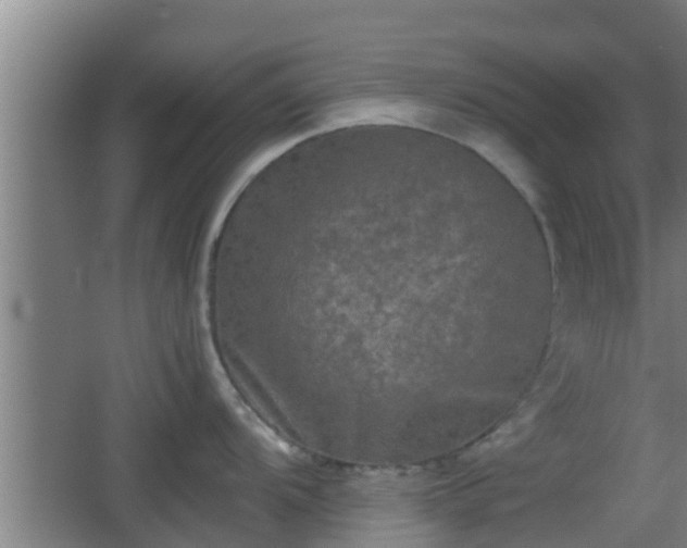 X0000062831104200601171413